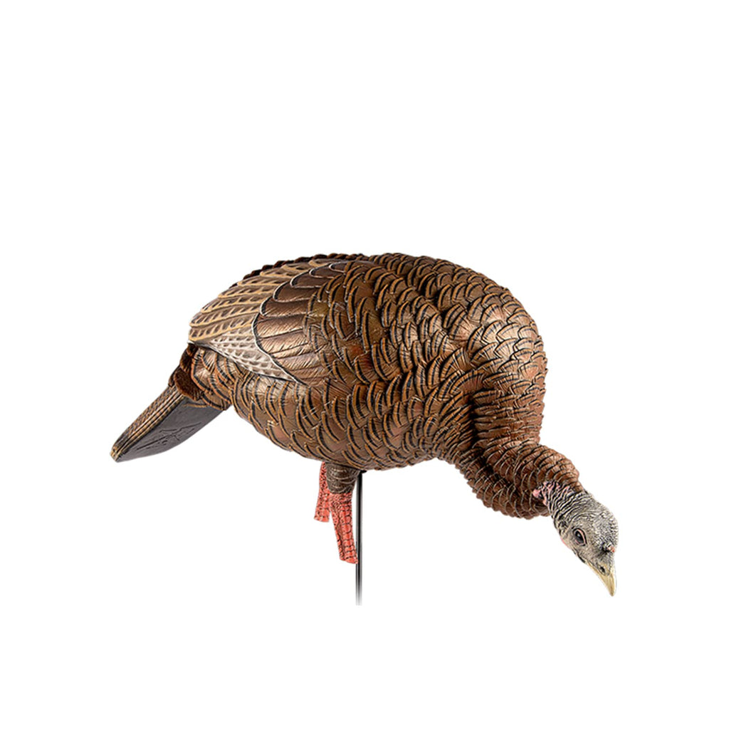 Avian-X HDR Feeding Hen Turkey Decoy