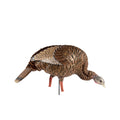 Avian-X HDR Feeding Hen Turkey Decoy