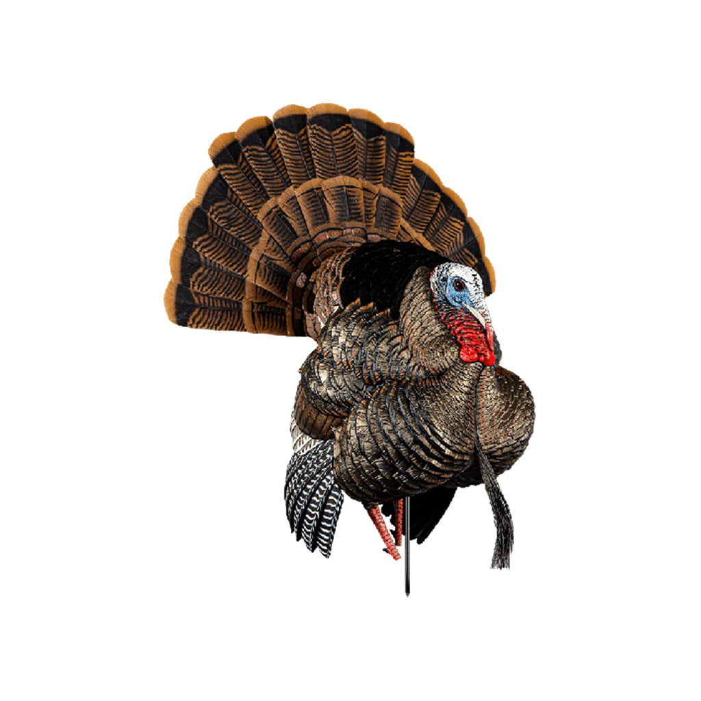 Avian-X HDR Strutter HDR Turkey Decoy