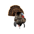 Avian-X HDR Strutter HDR Turkey Decoy