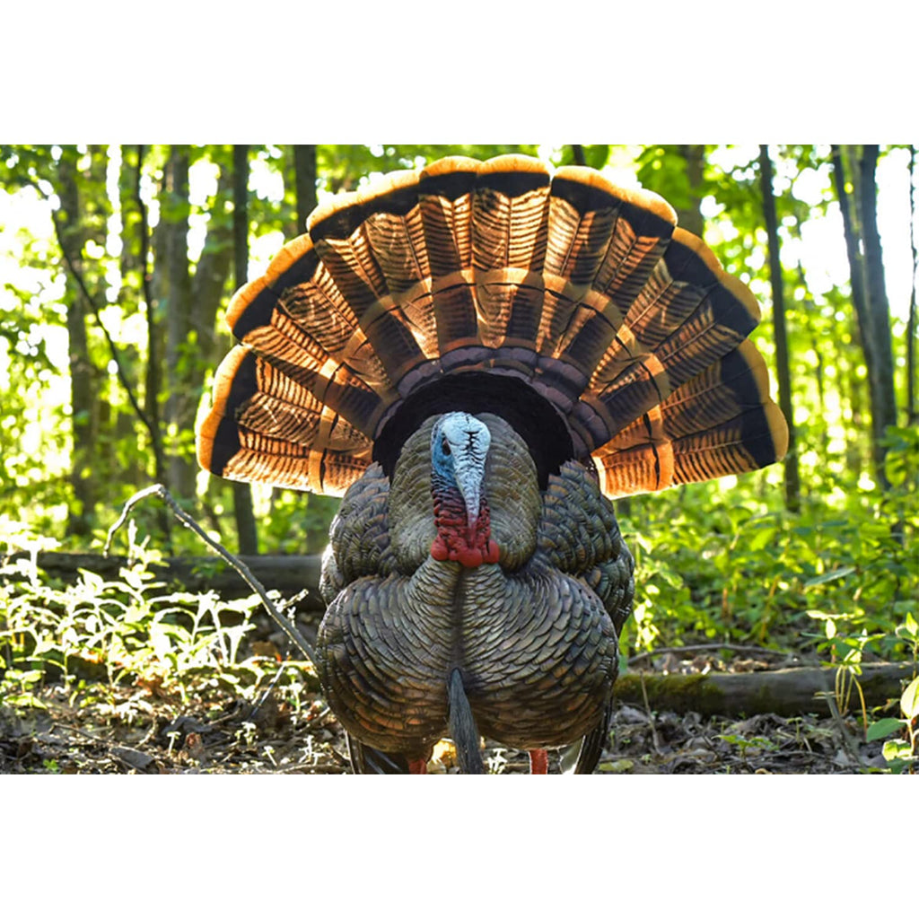 Avian-X HDR Strutter HDR Turkey Decoy