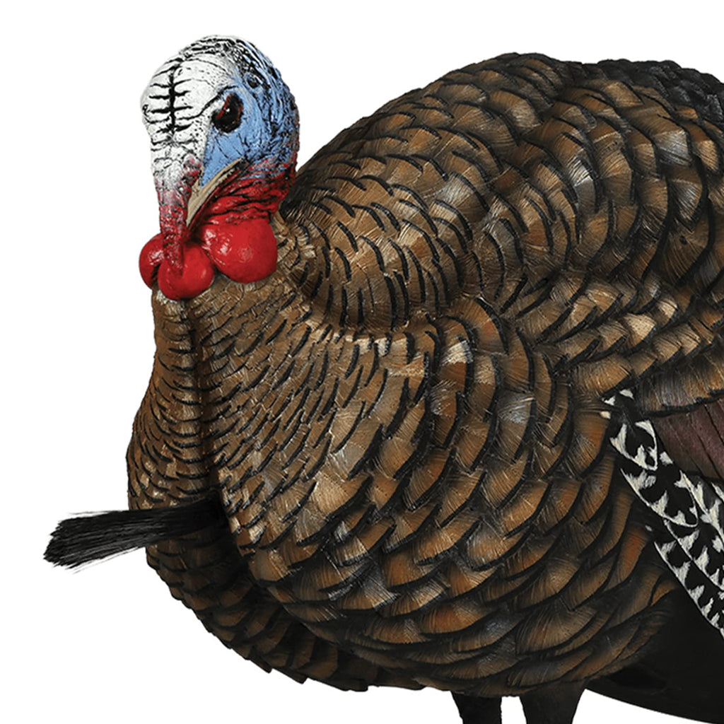 Avian X LCD 1/2 Strut Jake Turkey Decoy