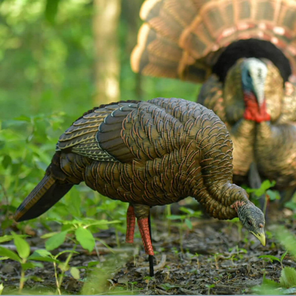 Avian-X HDR Feeding Hen Turkey Decoy