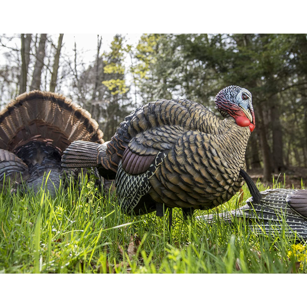 Avian X LCD 1/2 Strut Jake Turkey Decoy